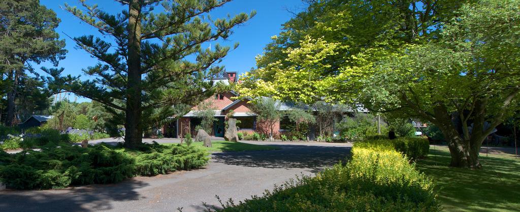 Oakdene Vineyards Guesthouse Wallington Kültér fotó